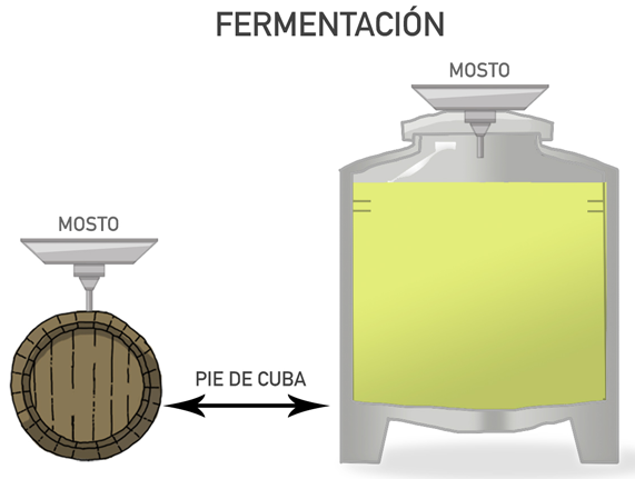 The Sherry Wine Production Process | Bodegas Tío Pepe
